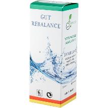 Gut Rebalance 250 ml - Alterfarma