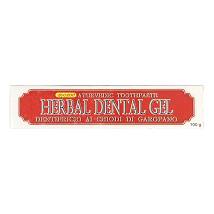 HERBAL DENTAL GEL AYURV CH100G