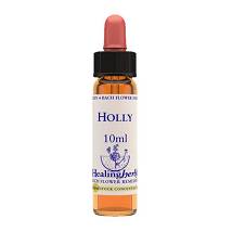 HOLLY ESSENZA 10ML