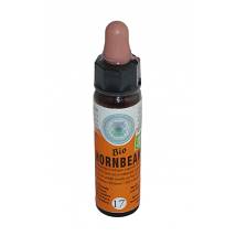 HORNBEAM BIO CROMO 10ML