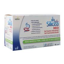 HUBNER SILICEA GASTRO GEL15BUS
