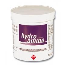 Hydro Amino 600Gr Power - Fm Minsan 902885829