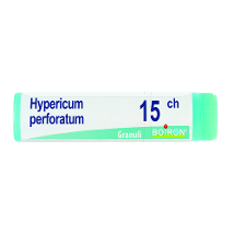 HYPERICUM PERFORATUM 15CH GLOBULI