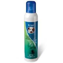 Ingenya Cane Deo Talco 250Ml Ic050 Minsan 924863184