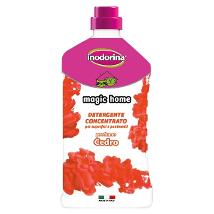 Inodorina Magic Home Cedro 1Lt New