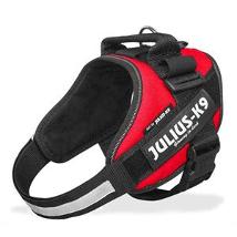Julius K9 Powerharness For Labels, Mini Red 161Dc-R-M