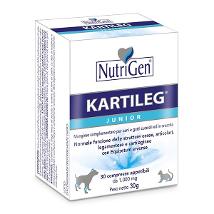 Kartileg Junior 30Tav 1Gr    # Minsan 904912351