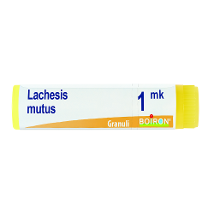 LACHESIS MUT MK GL