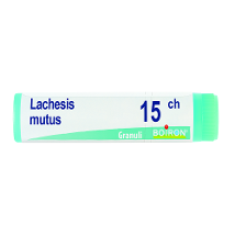 LACHESIS MUTUS 15CH GLOBULI