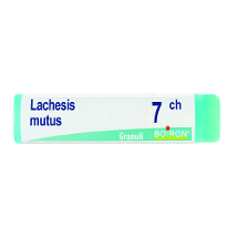 LACHESIS MUTUS 7CH GLOBULI