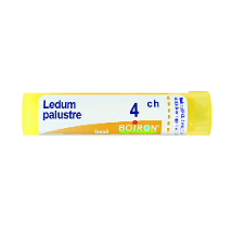 LEDUM PALUSTRE 4CH GRANULI