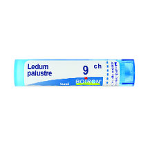 LEDUM PALUSTRE 9CH GRANULI