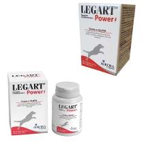 Legart Power