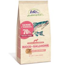 Life Dog Ricco in Salmone