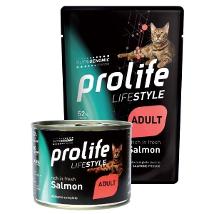 Life Style Adult Salmon
