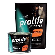 Life Style Kitten Chicken
