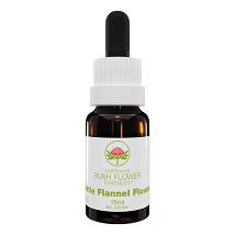 LITTLE FLANNEL FLOWER 15ML