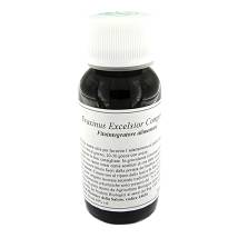 LVS 22N FRAXINUS EXCELSIOR COM