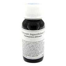 LVS 82C EPILOBIUM ANGUSTIF COM