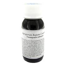 LVS 93C AGROPYRUM REPENS COMP