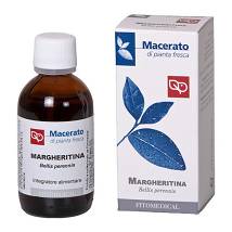 MARGHERITINA TM 50ML