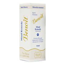 MIND REMEDY BENOIT 10ML