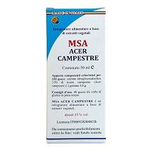 MSA ACER CAMPESTRE 50ML