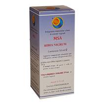 MSA RIBES NIGRUM 50ML