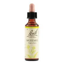 MUSTARD BACH ORIG 20ML