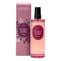 NASOTERAPIA SPRAY AMB UVE100ML