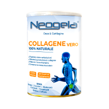 NEOGELA POLVERE 400G