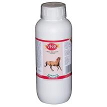 Olio Vivo Cavalli X 3 Lt             # Minsan 910141783