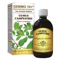 OLMO CAMP 500ML ANALCO GEMM10+