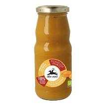 PASSATA DI POMODORO GI BIO350G