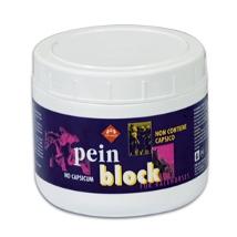 Pein Block 500Ml - Fm Minsan 900186584