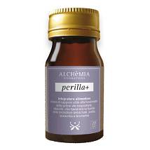 PERILLA+ 20CPR