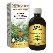 PINO MONT 500ML ANALCO GEM 10+