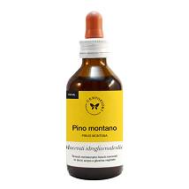 PINO MONTANO GEMME 100ML MG