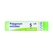 POLYGONUM AVICULARE 5CH GRANULI