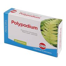 POLYPODIUM ESTRATTO SECCO60CPR