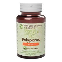 POLYPORUS LINEA BASIC 120CPR