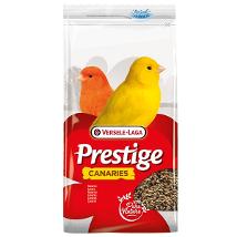 Prestige Canarini Belgio