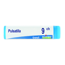 PULSATILLA BOI*9CH GL 1G