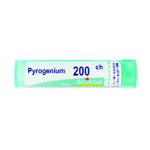PYROGENIUM 200CH GRANULI