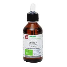 QUERCIA MG 100ML BIO
