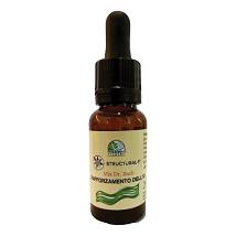 RAFFORZAMENTO IO 20ML FITOTEC