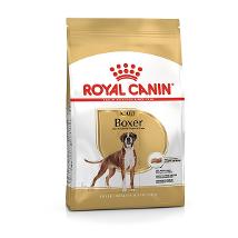 Rc Boxer Adult 26 3Kg Minsan 910855093