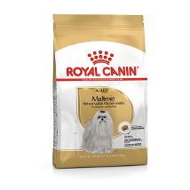 Rc Maltese 24 500Gr Minsan 921834457