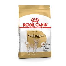 Rc Mini Chihuahua 28 1,5Kg Minsan 912942962