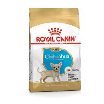 Rc Mini Chihuahua Junior 1,5Kg 8 Months Minsan 977962529